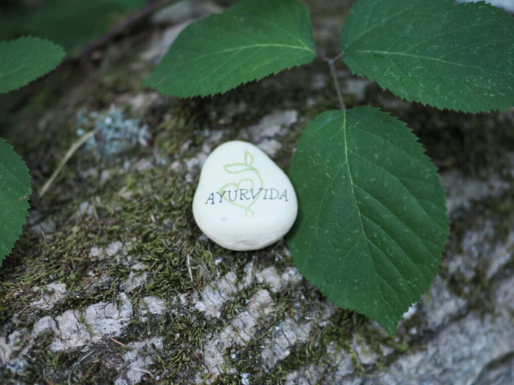Ayurvida Stein
